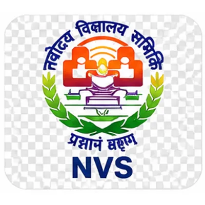 NVS logo